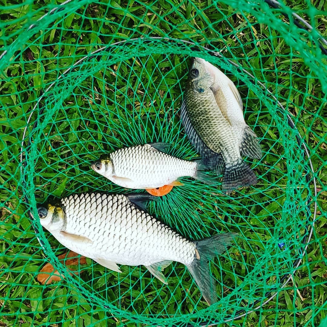 Weekend Fishing Trip Map 7