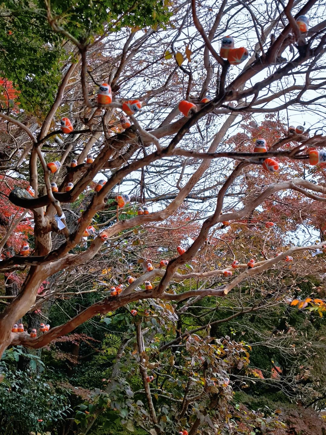 Autumn Map Share 7