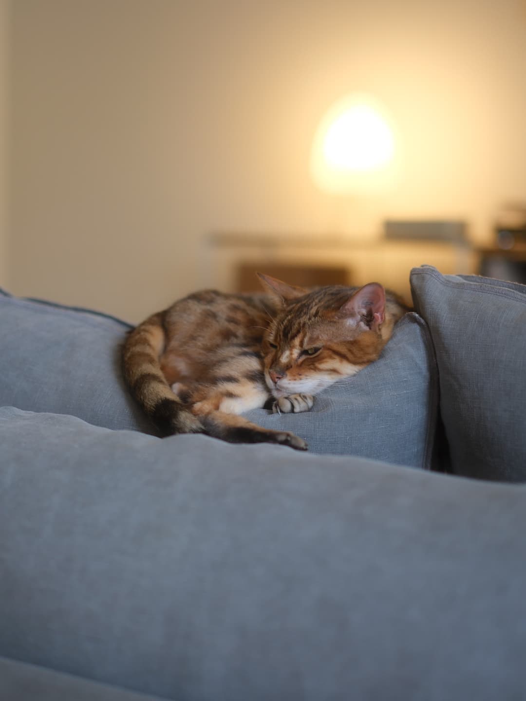 Daytime naps!