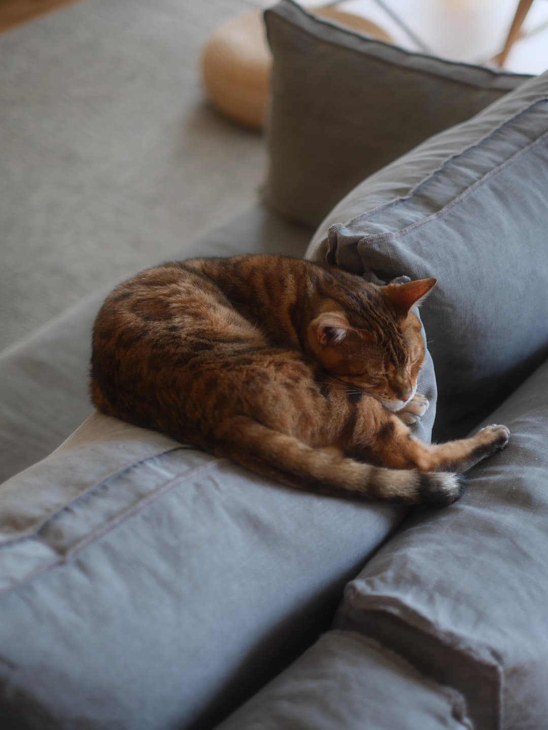 Daytime naps! 2