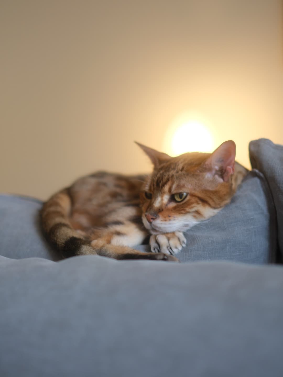 Daytime naps! 7