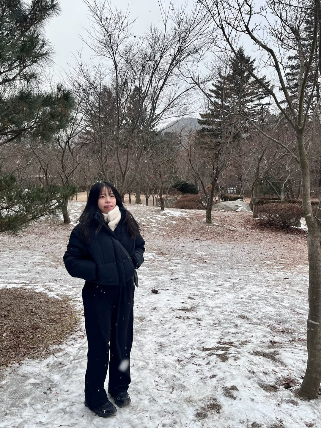 ❄️✨ 3