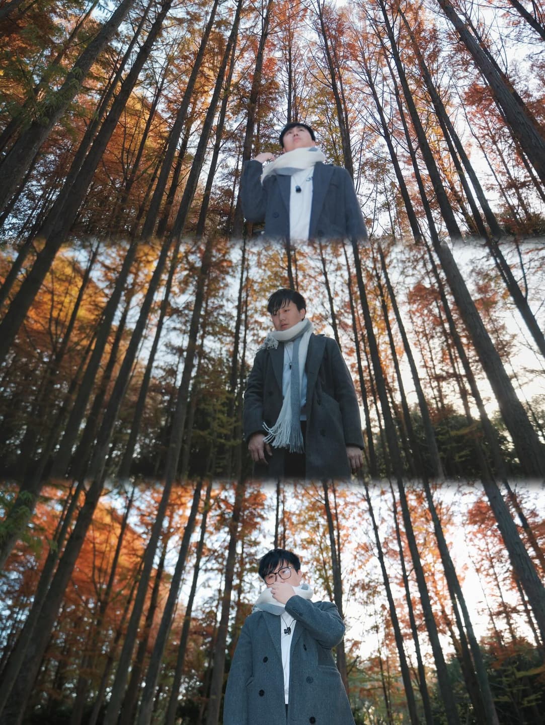 Autumn stroll 2