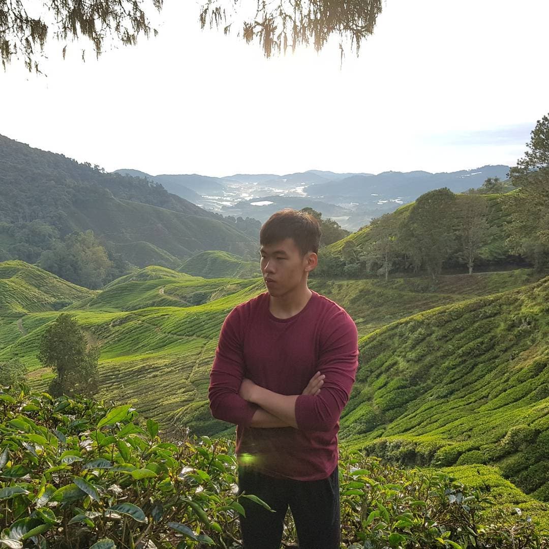 Cameron Highlands Trip Highlights 3