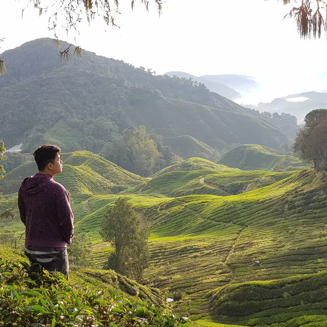 Cameron Highlands Trip Highlights 4