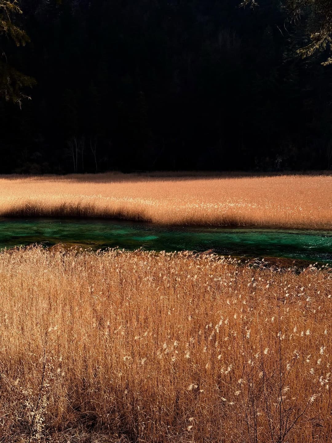 A post on Yuno 4