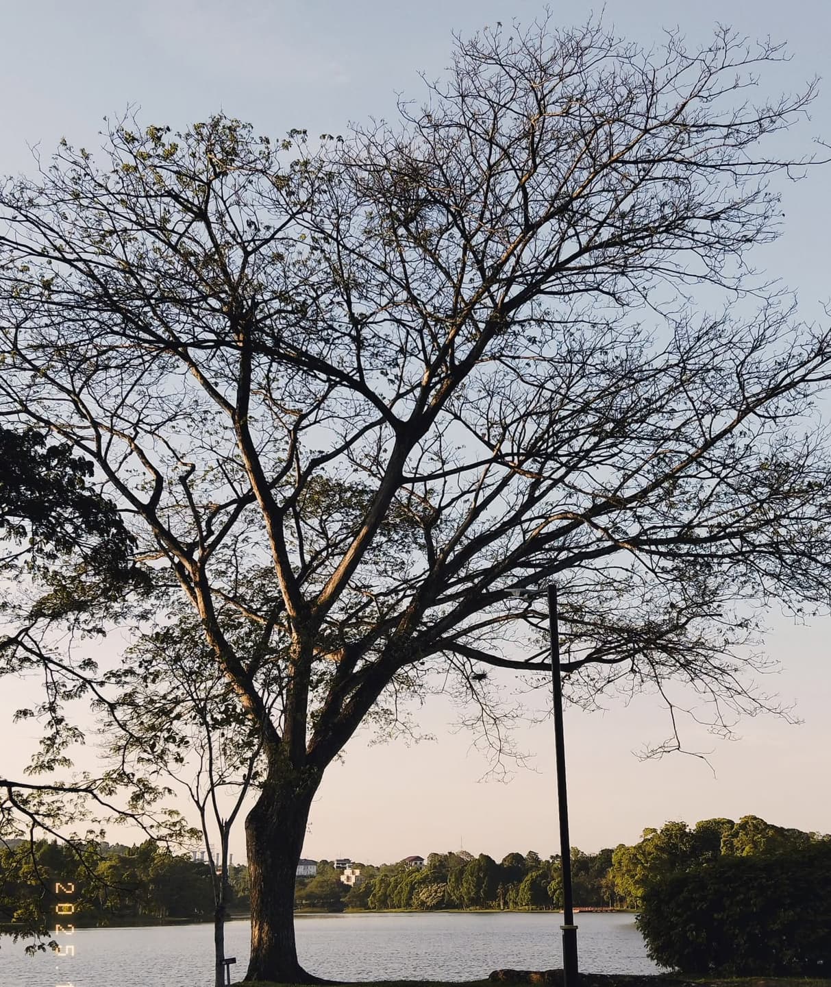 Our Community Map: Nature Spots 3