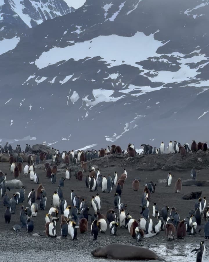 Antarctica Journey: 8