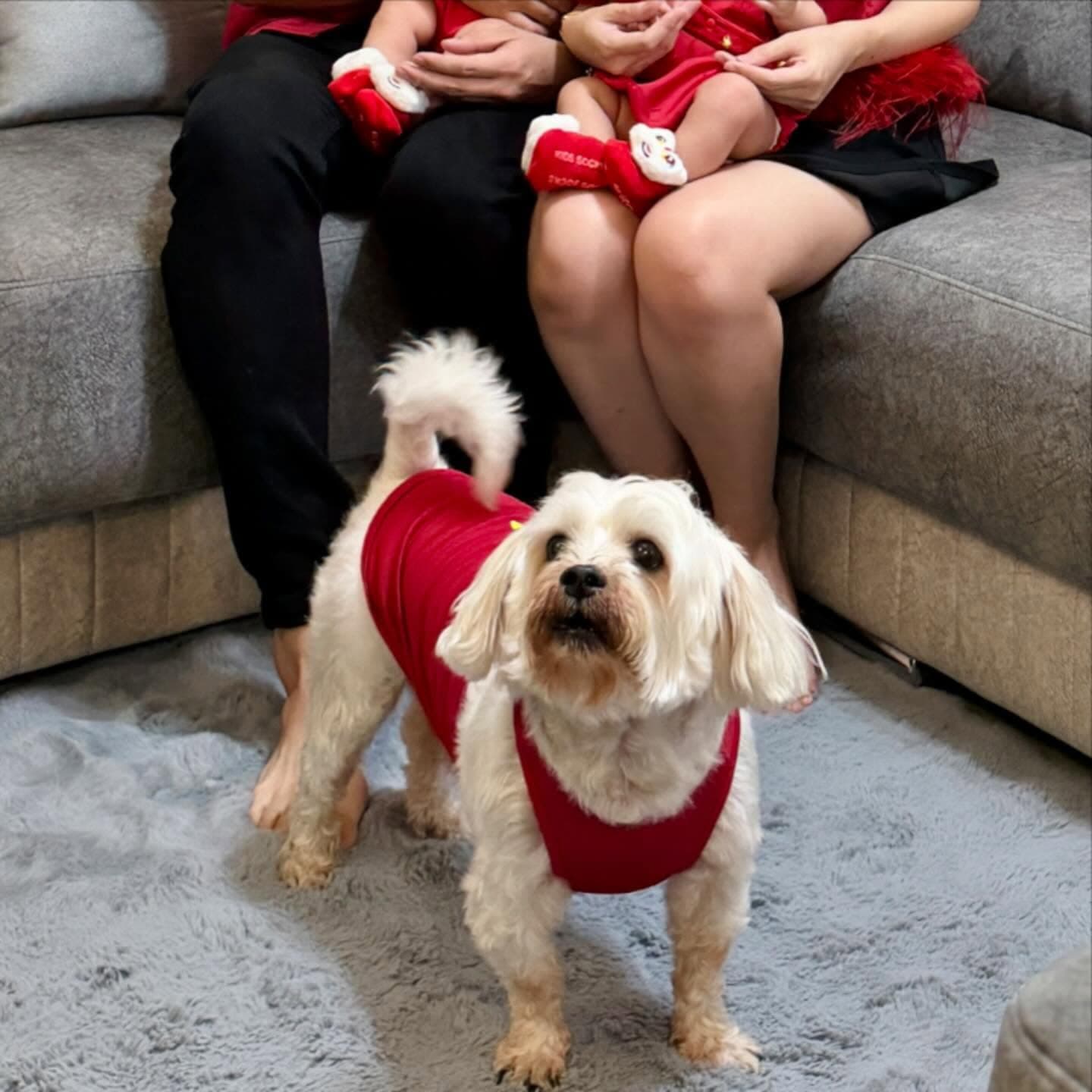Our first year family photo map 7