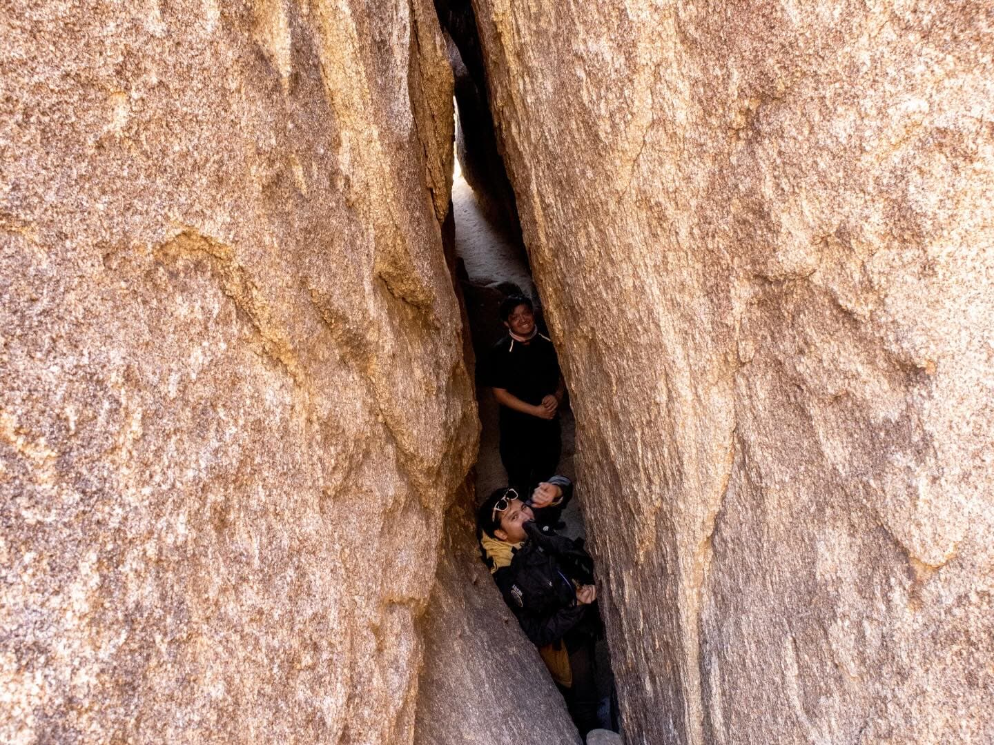 Joshua Tree Salomons Sighting Map 2