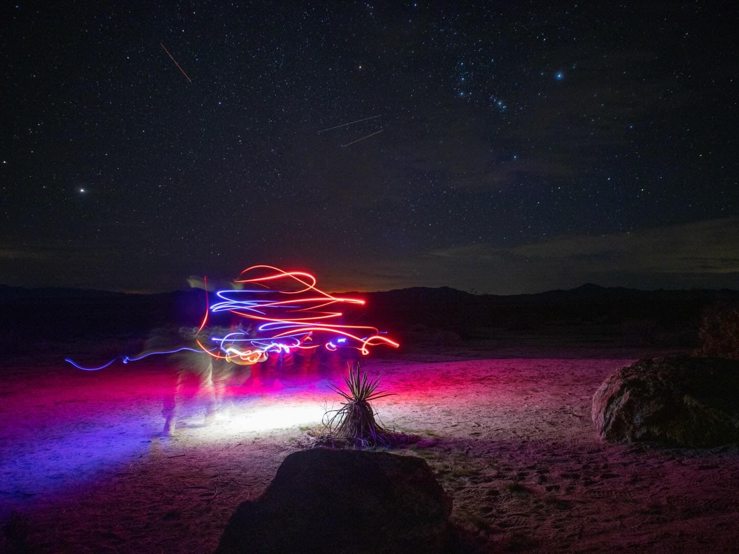 Joshua Tree Salomons Sighting Map 8