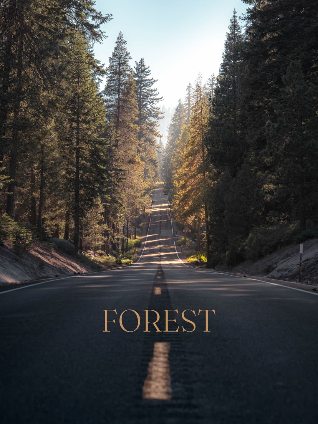 Roads 2