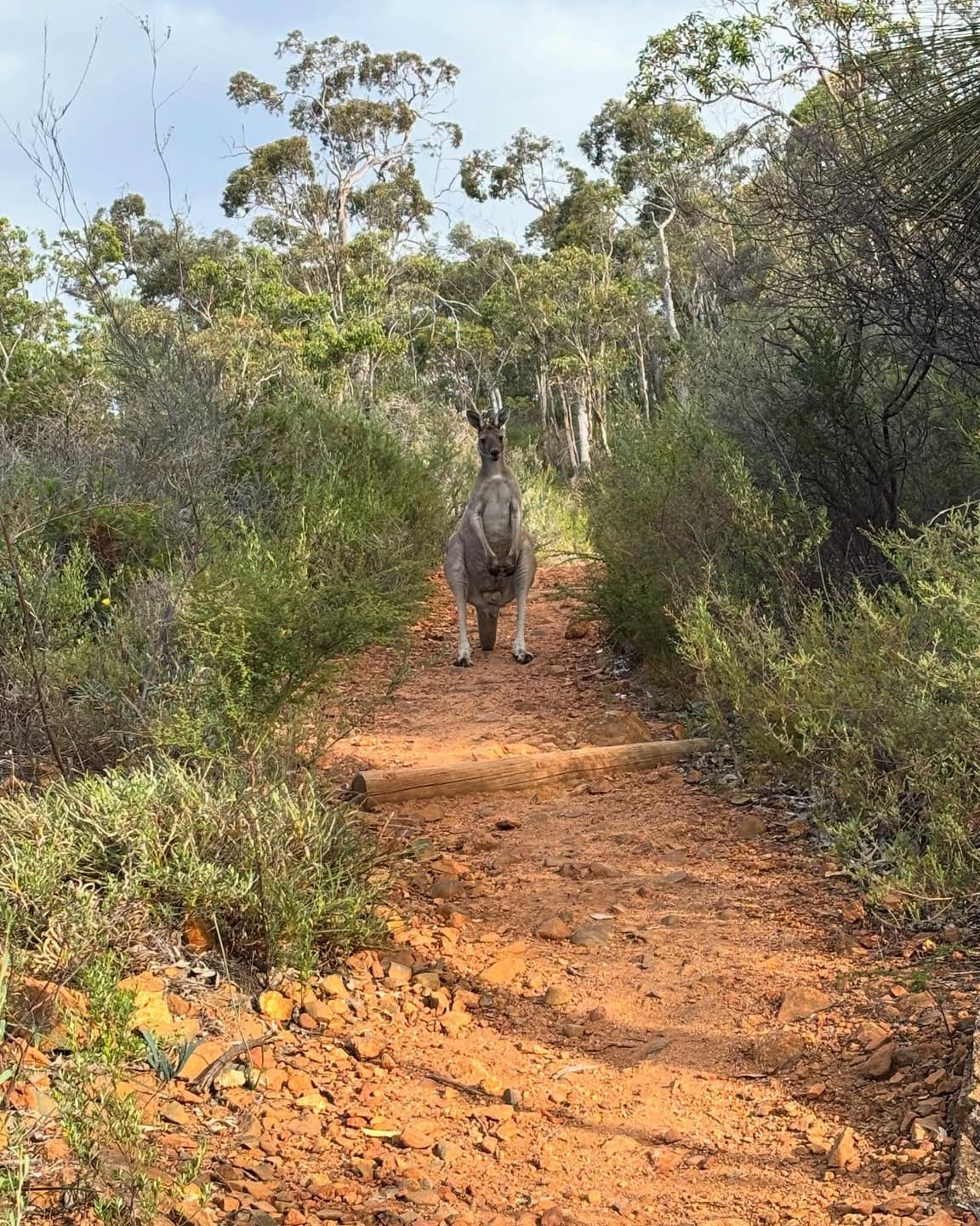 Our Favourite Running 6