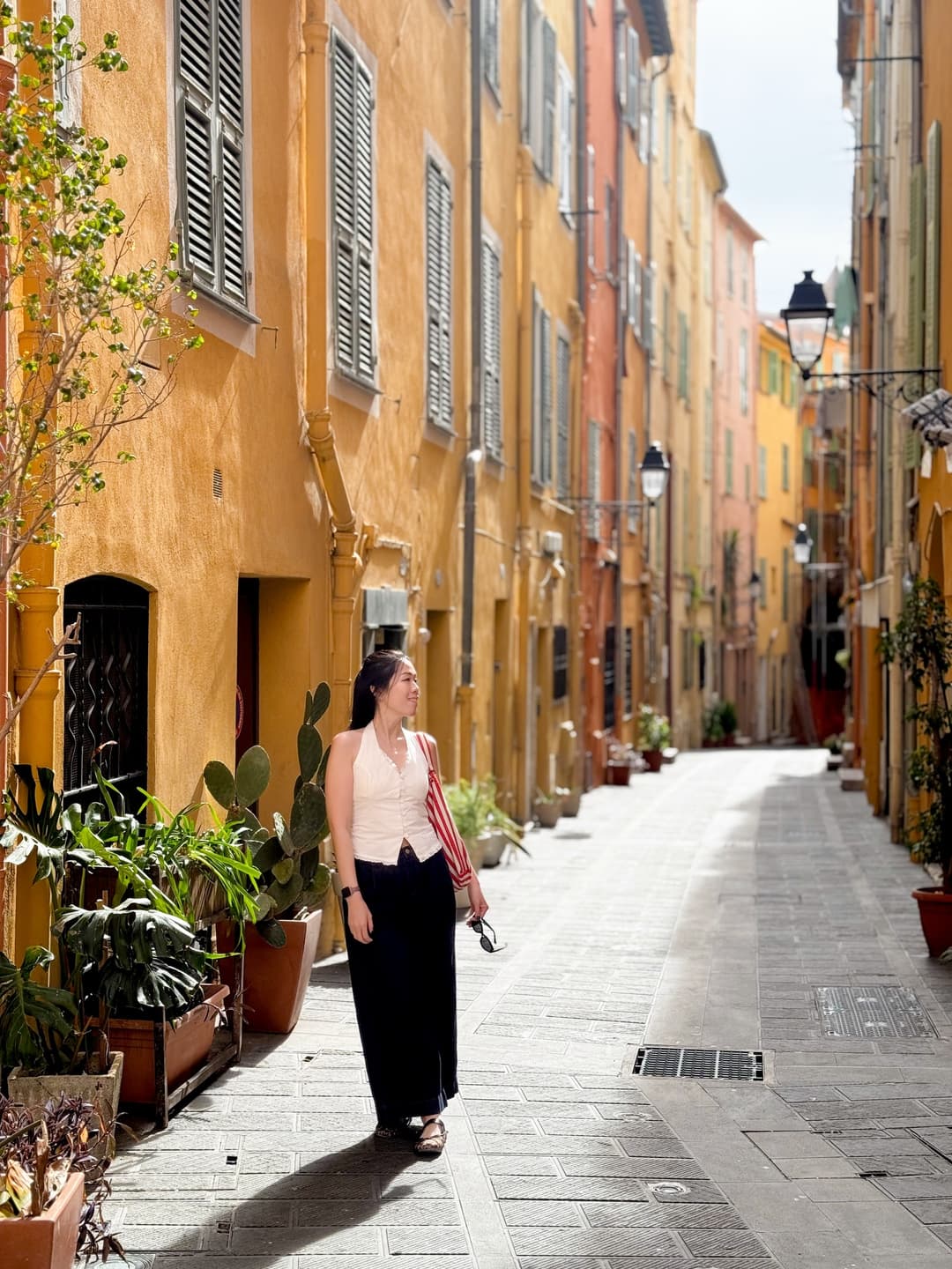 Menton Lemon Map 4