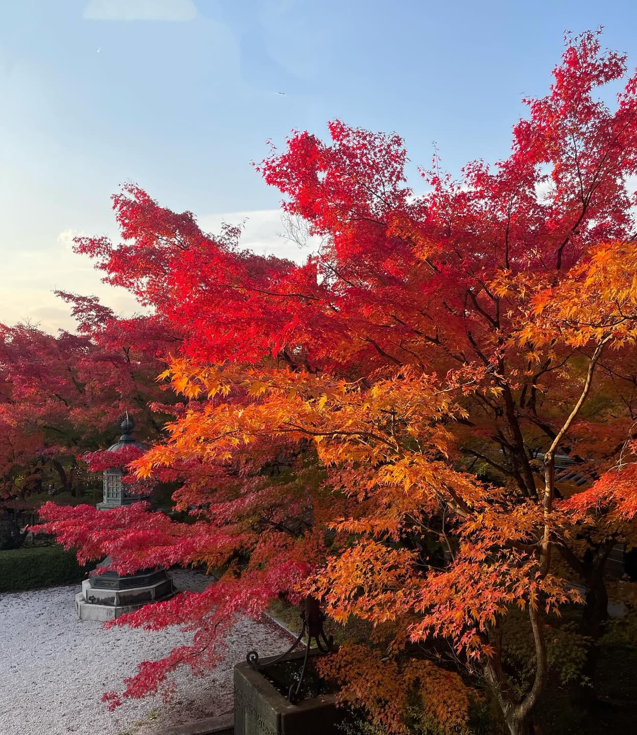 Autumn Leaf-Peeping Spots in Japan