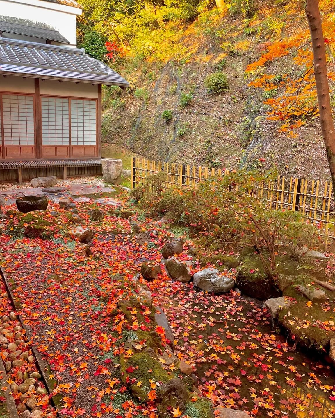 Autumn Leaf-Peeping Spots in Japan 2