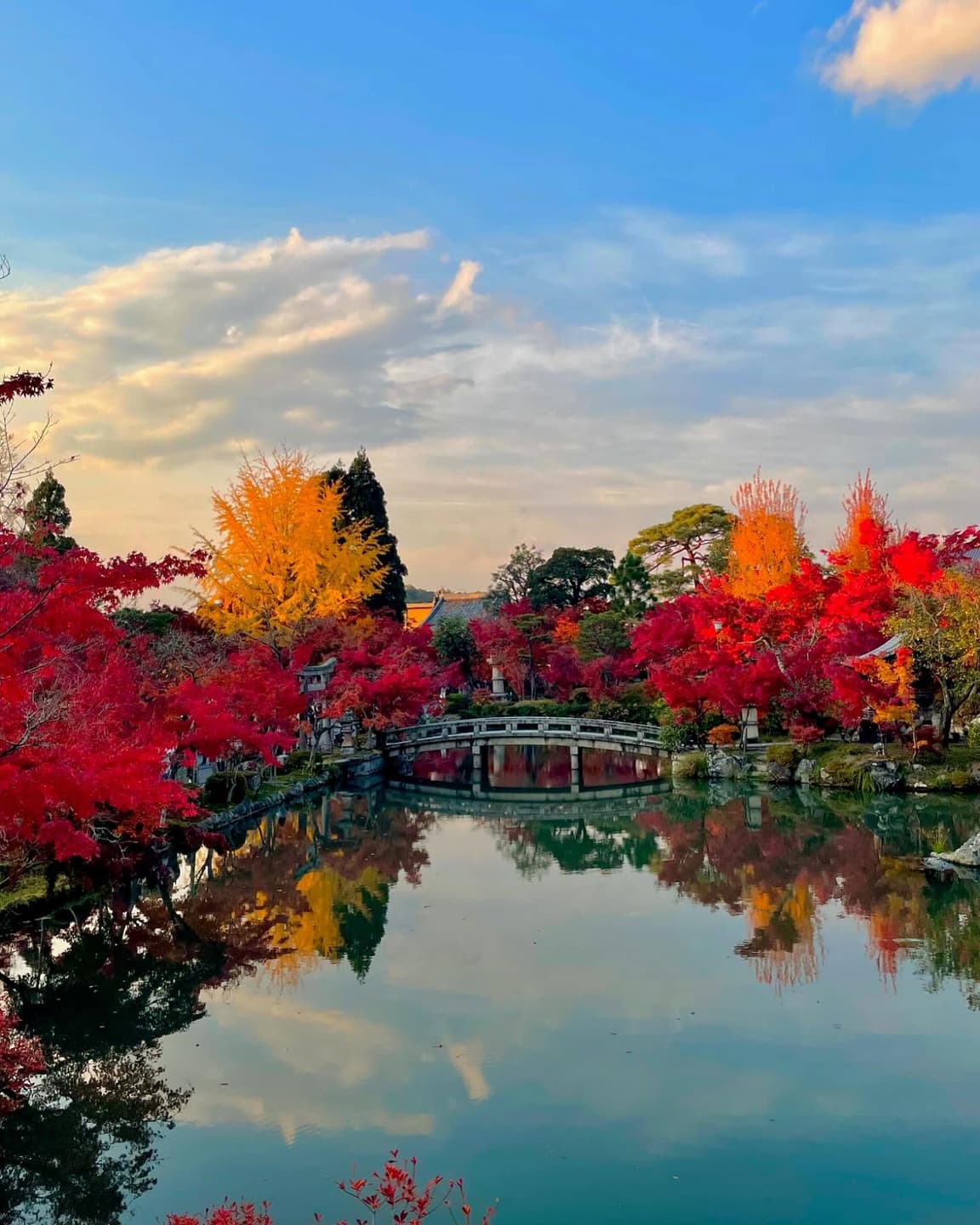 Autumn Leaf-Peeping Spots in Japan 3