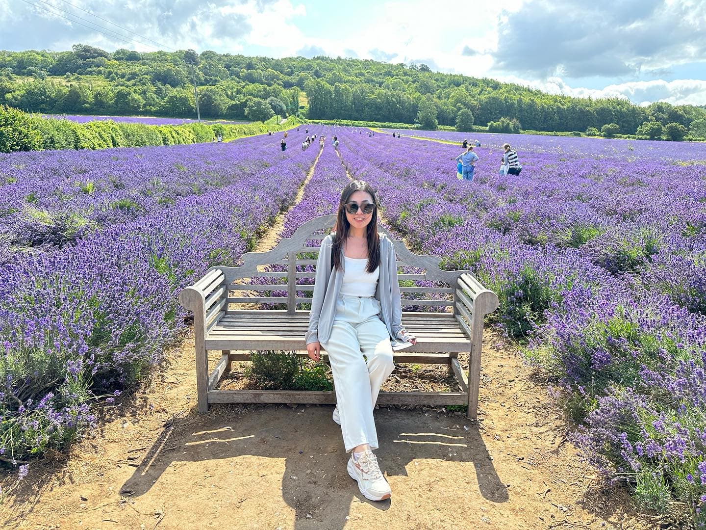 Lavender 💜💜 2