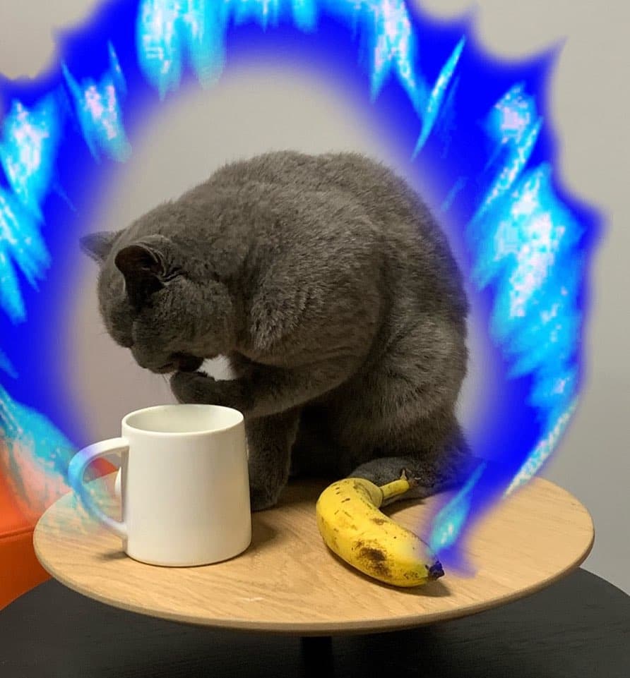 Super Saiyan Cat