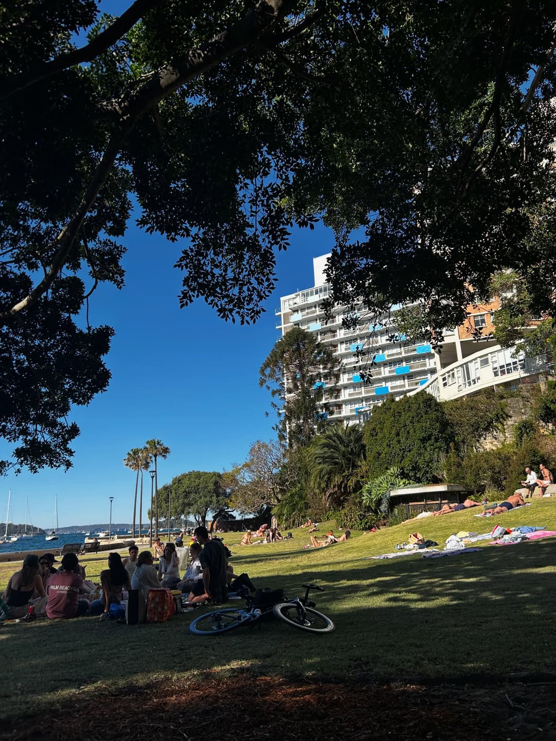 Beare Park, Elizabeth Bay Map 3