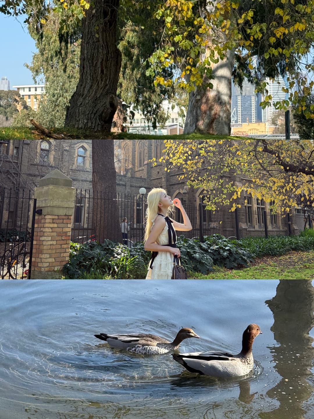Unimelb 🍁