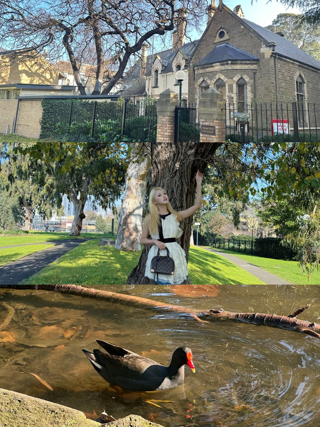 Unimelb 🍁 3