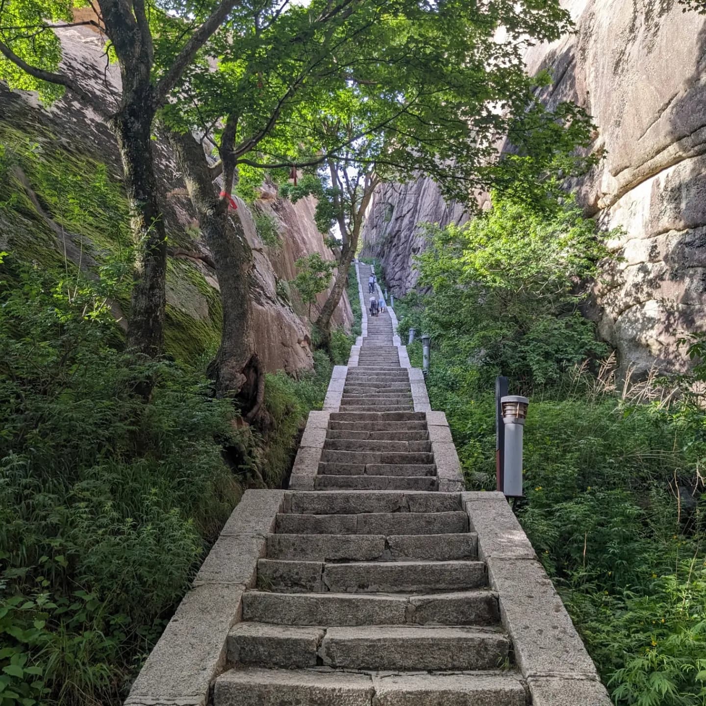 Huashan Hikes Near Xi'an 3