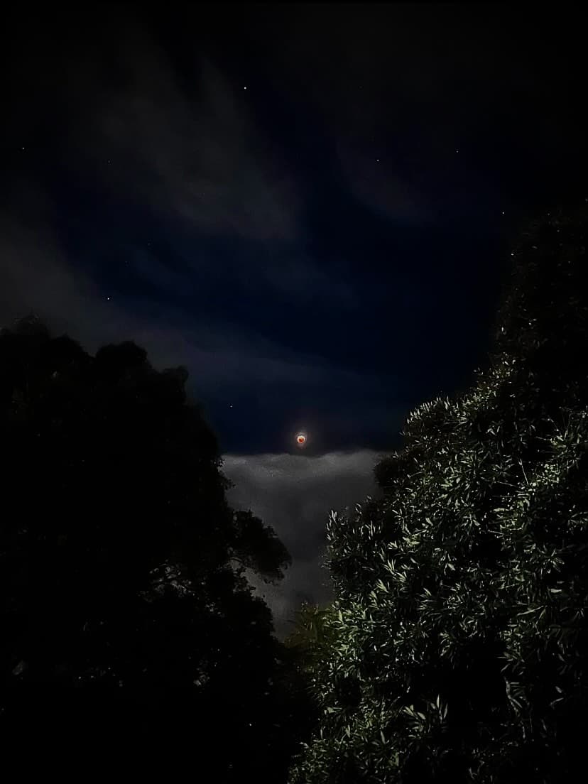 Blood Moon Eclipse Photos