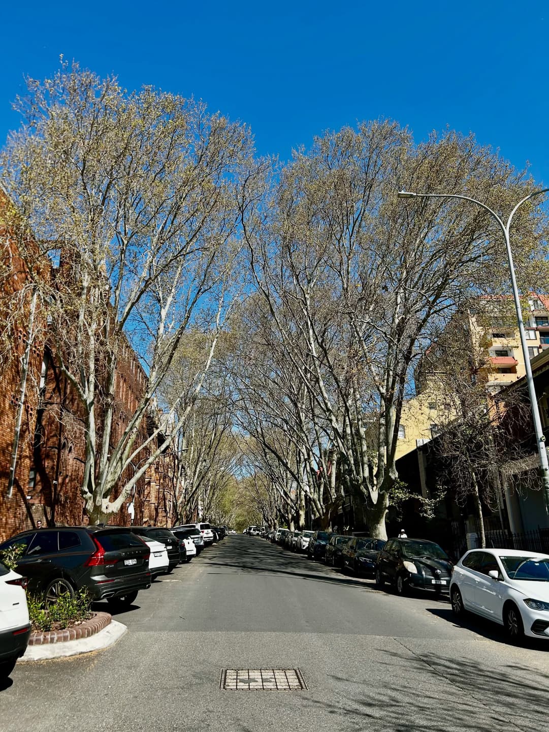 Victoria Street, Potts Point Map 2