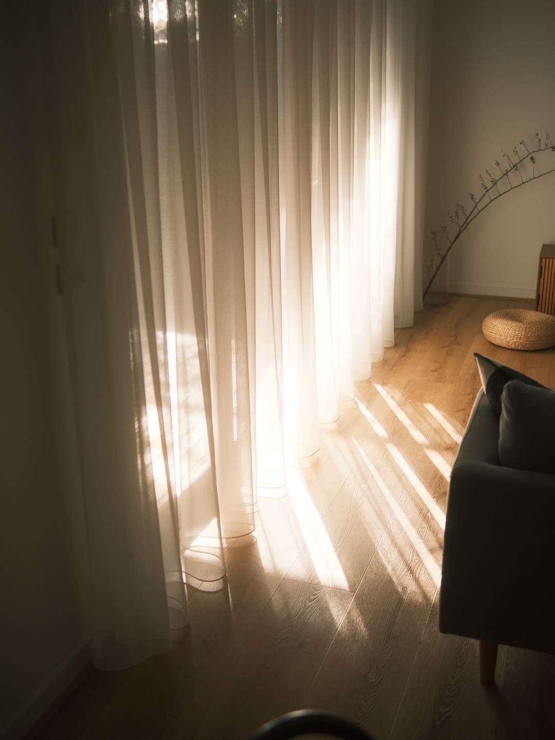 Morning glow!