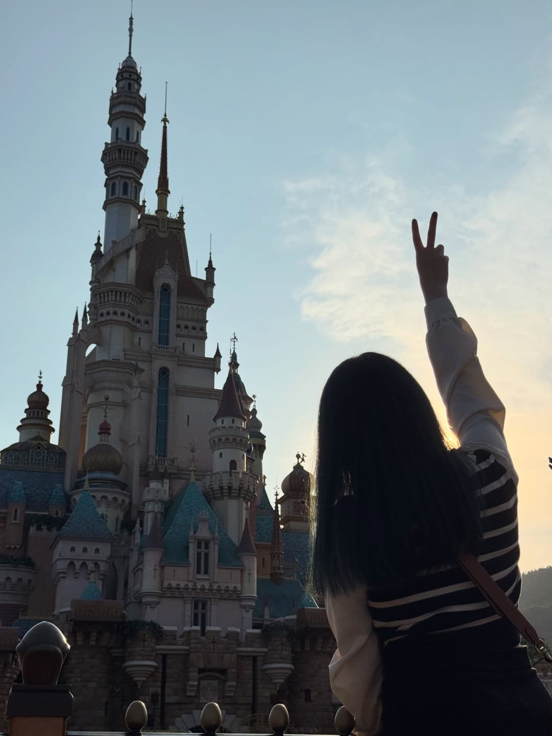 Hong Kong Disneyland Map 6