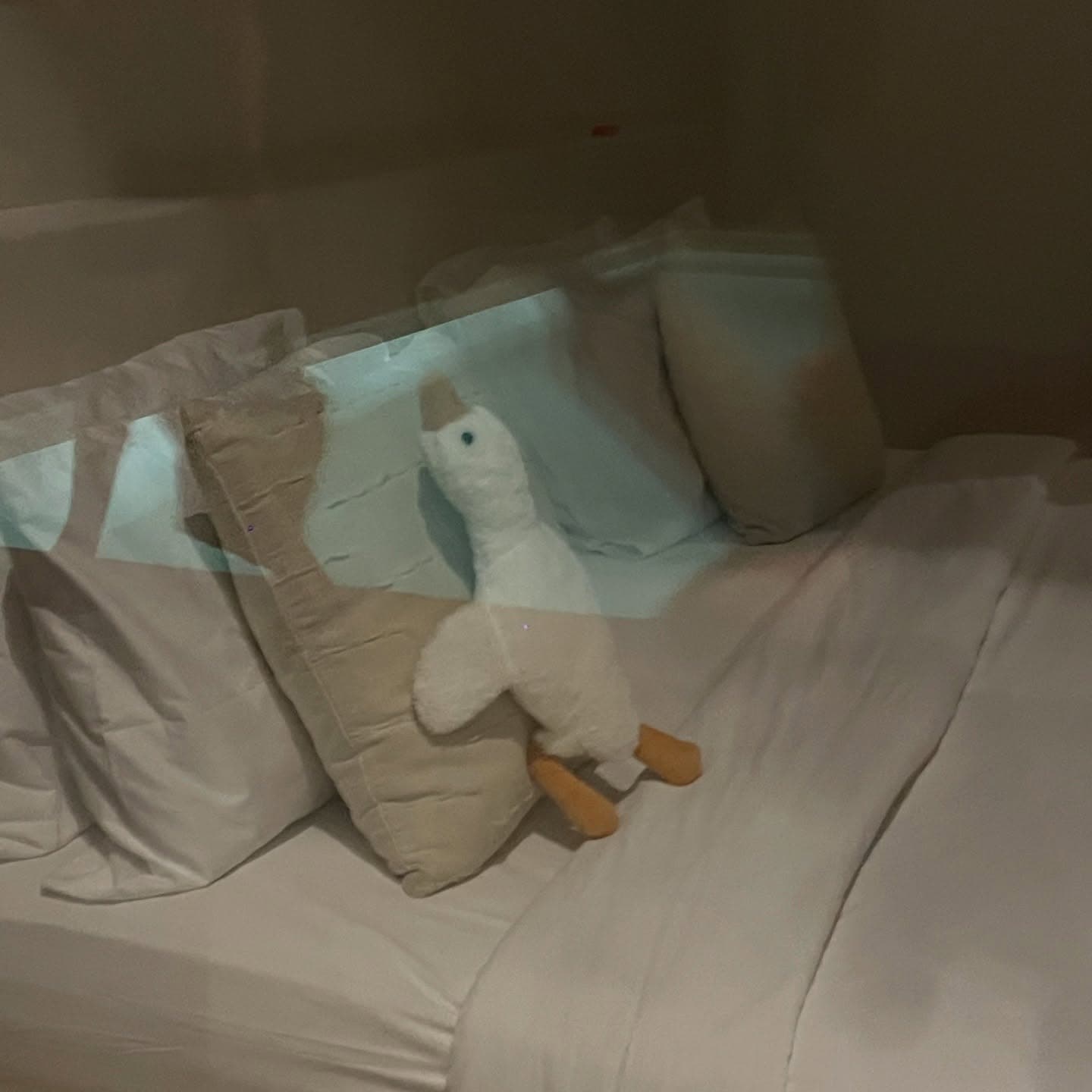 🏖️-2 6