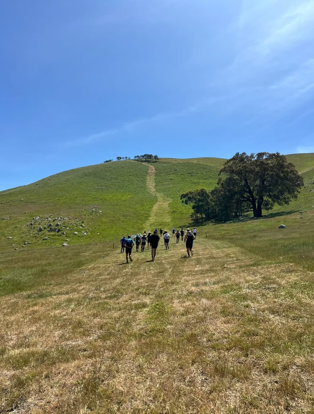 King Of The Hill 7