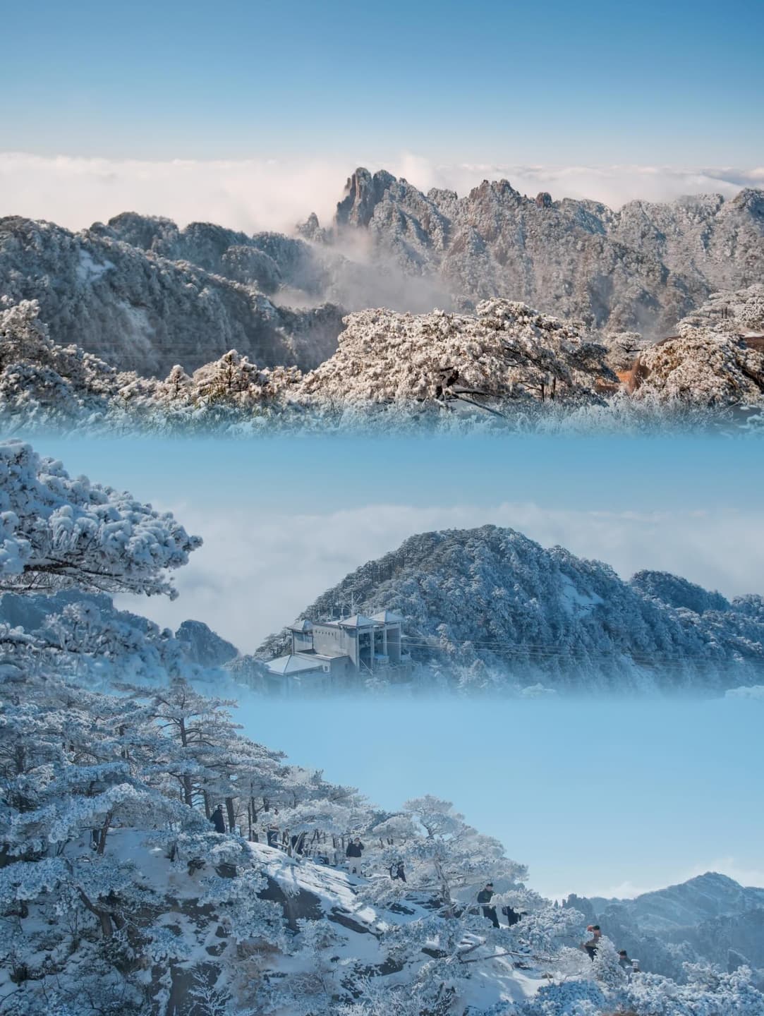 See mountains, see snow, see freedom 4