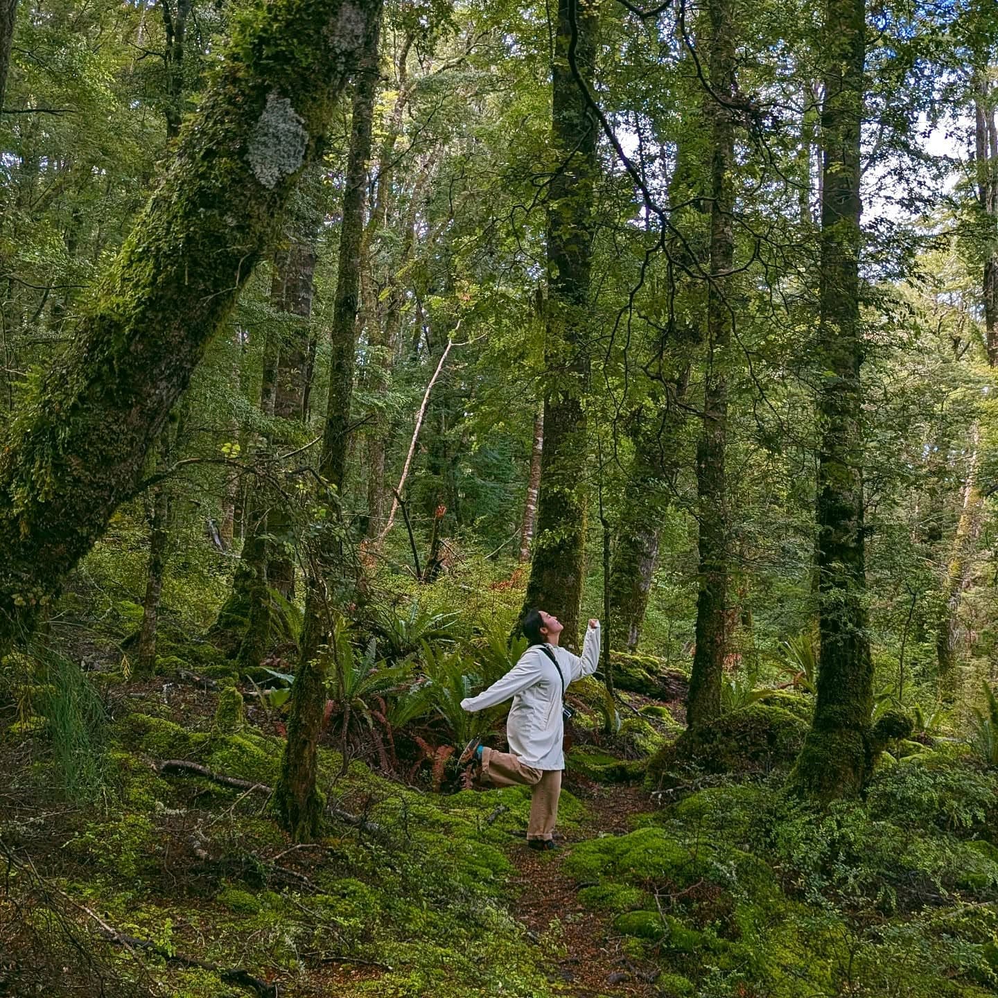 New Zealand 2