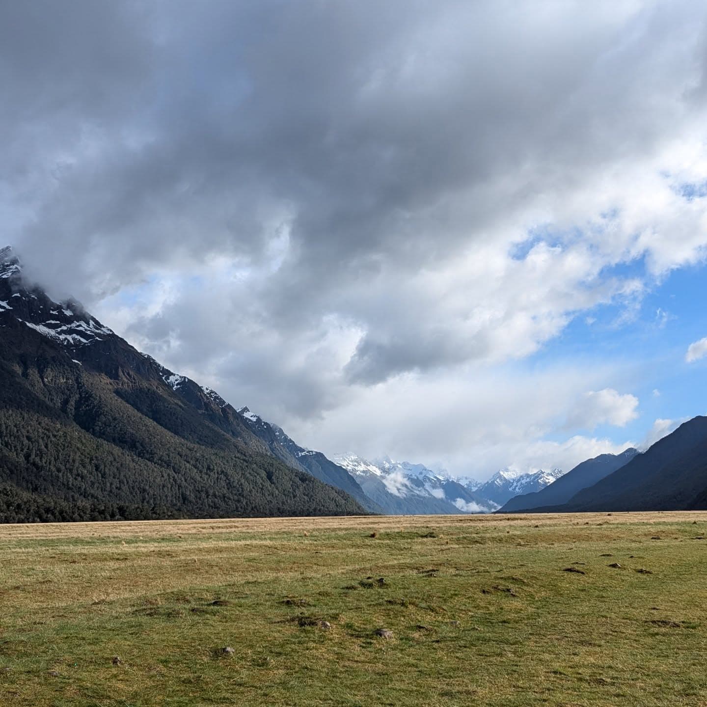 New Zealand 4