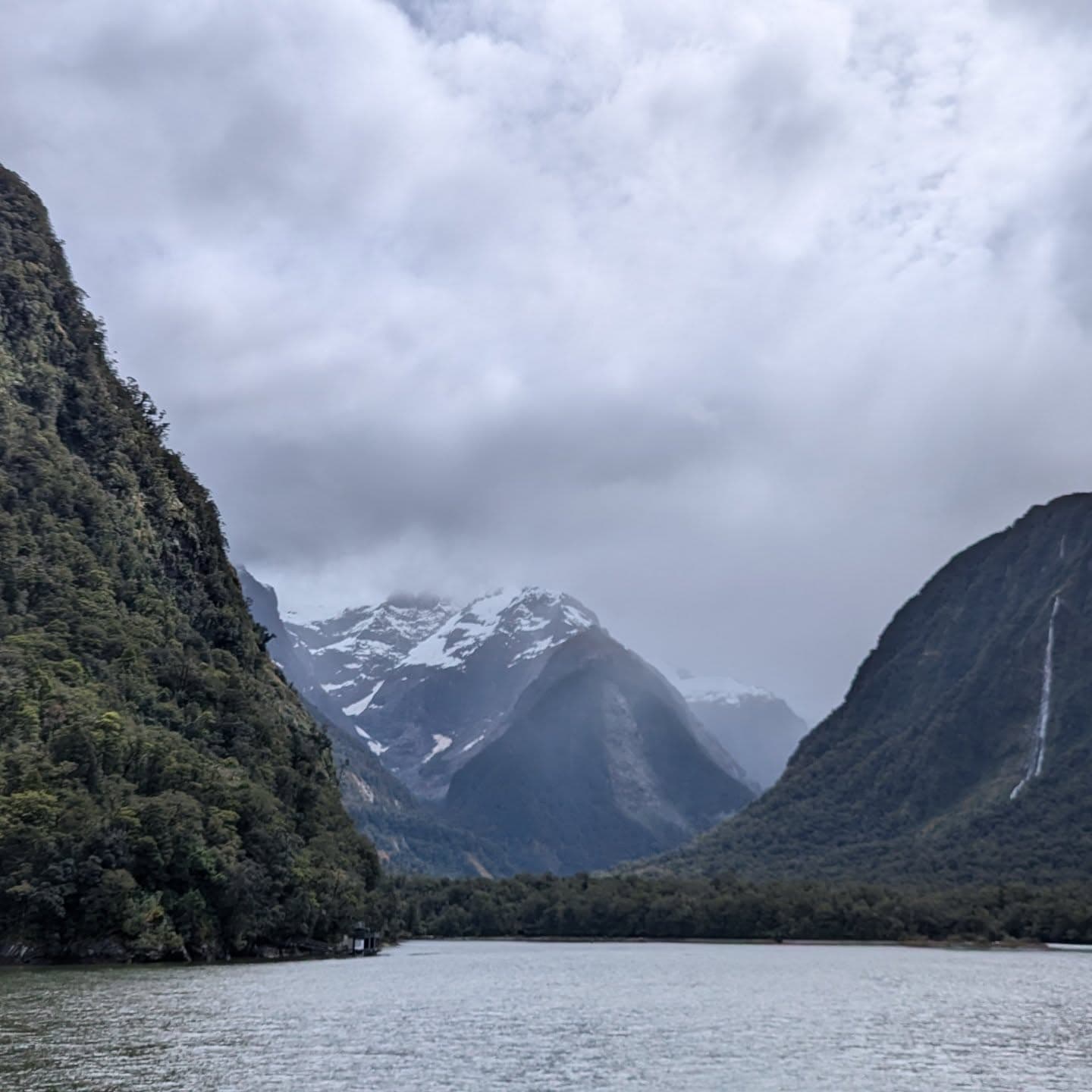New Zealand 5