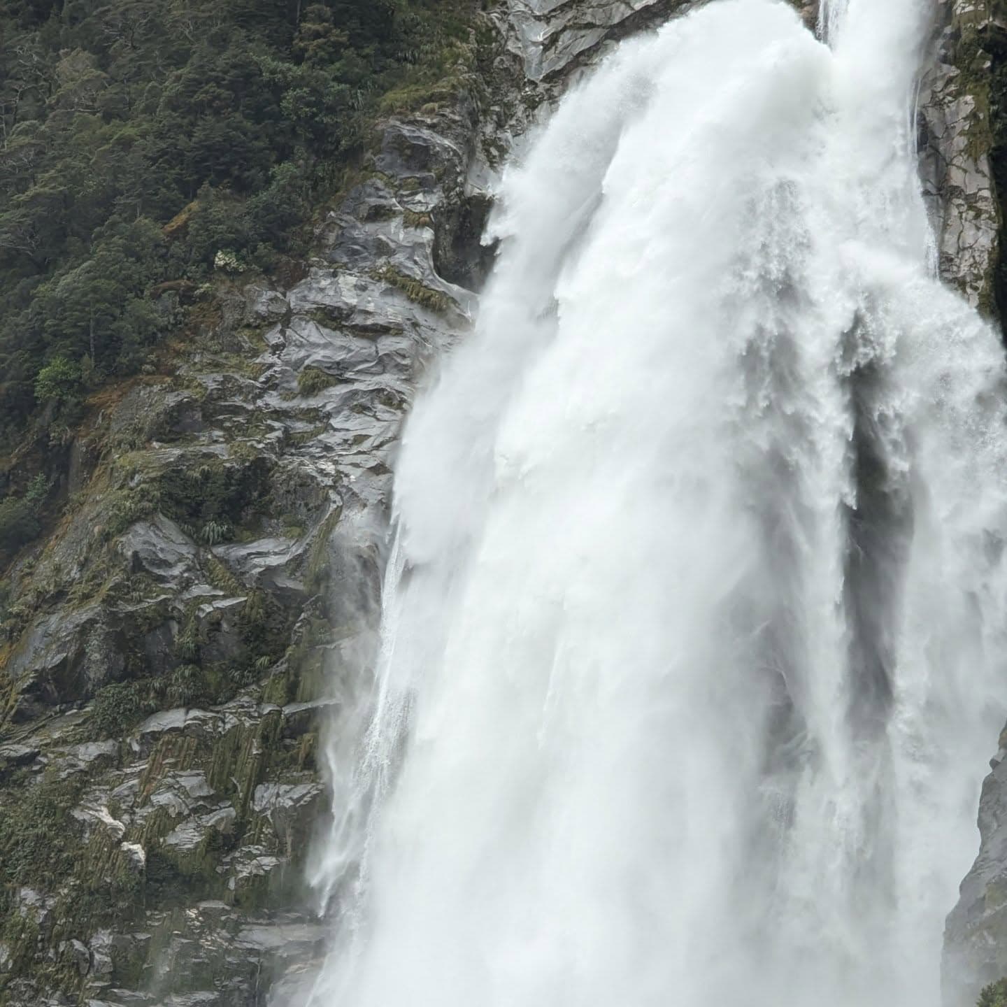 New Zealand 6