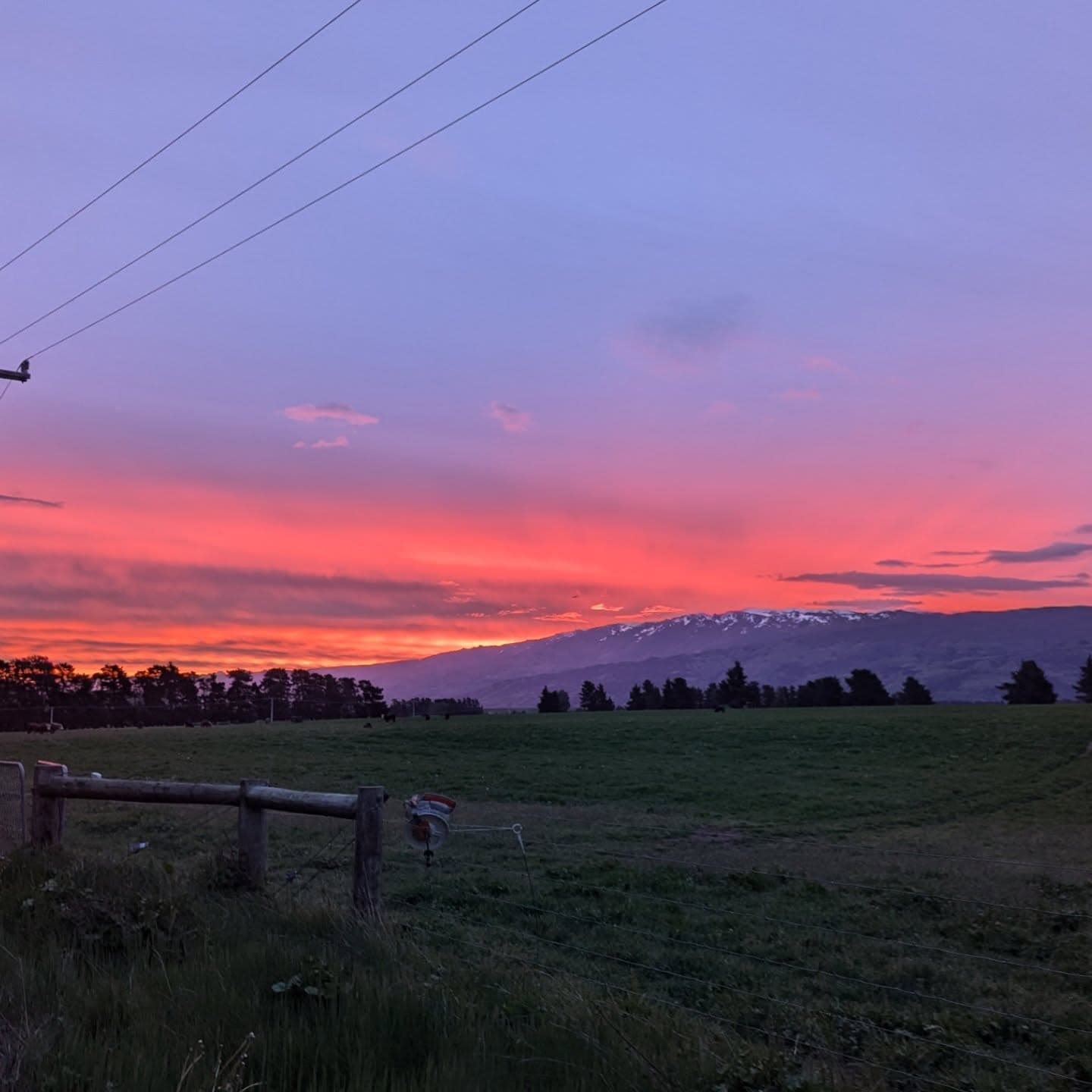 New Zealand 7