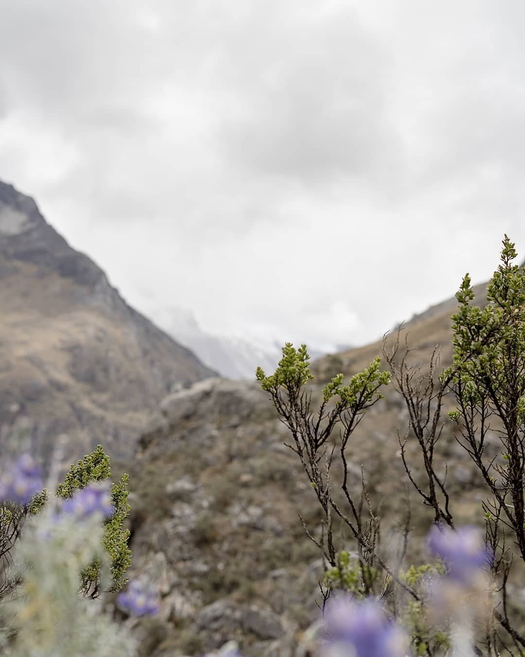 Andes hiking: worth the faff 2