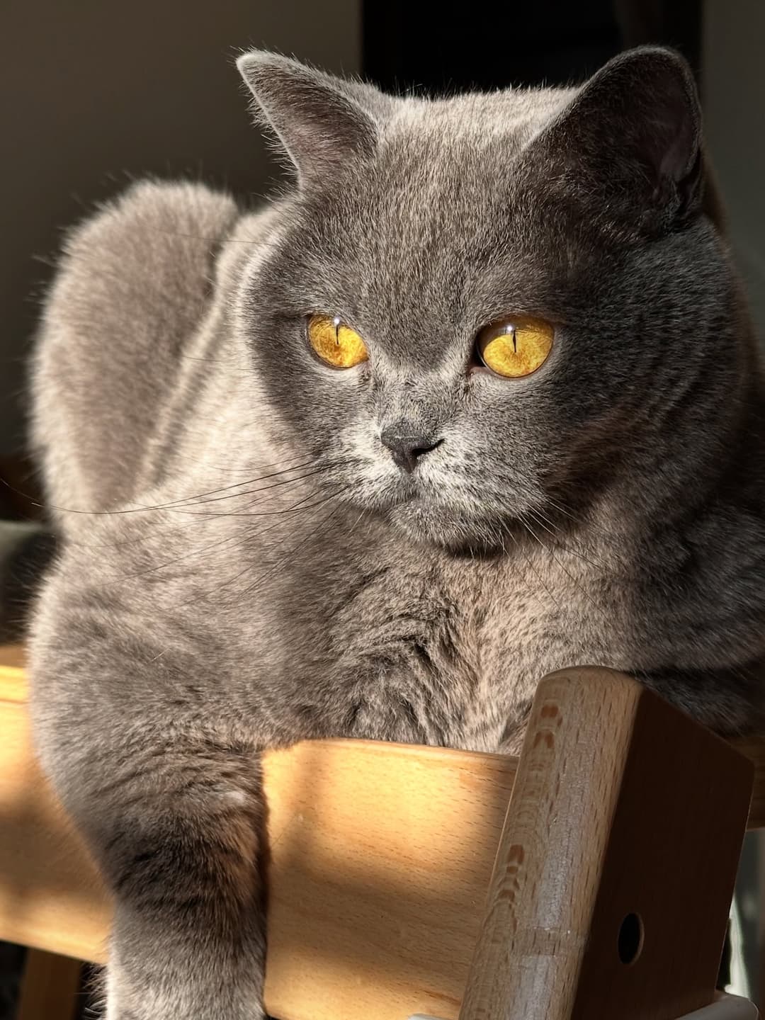 Sunbathing 🌞