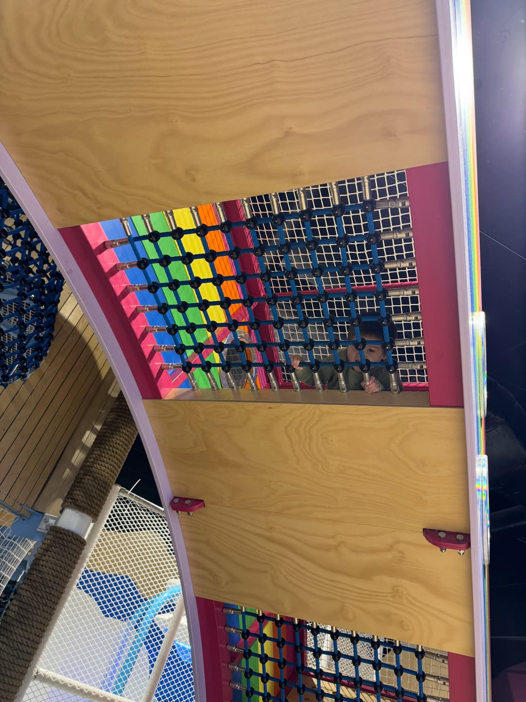 Buddy's Rainbow 3