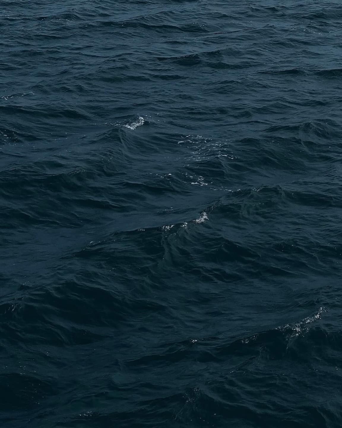 🛥️🌊 2