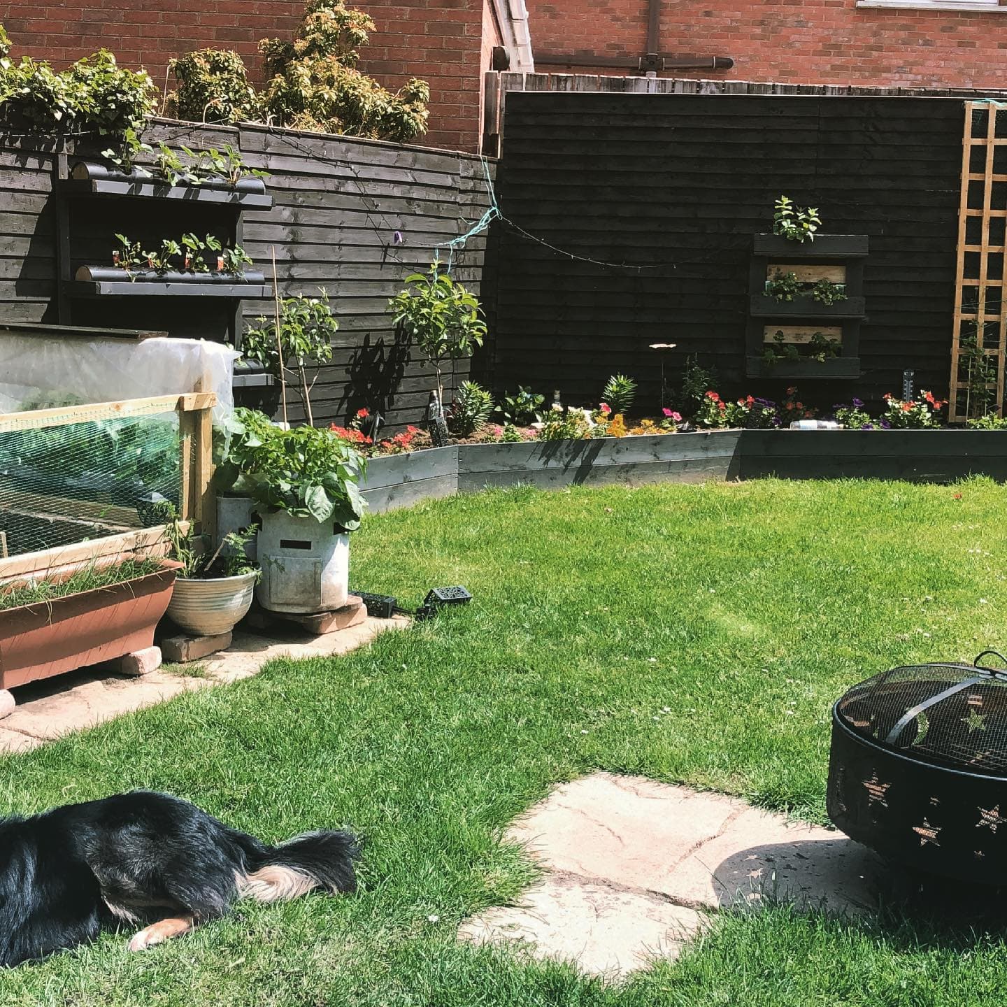 My Wee Garden Map 2