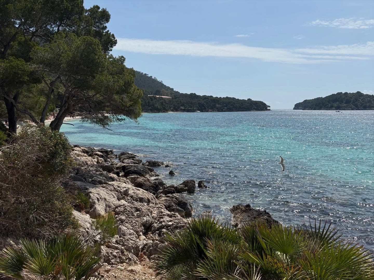 Formentor 6