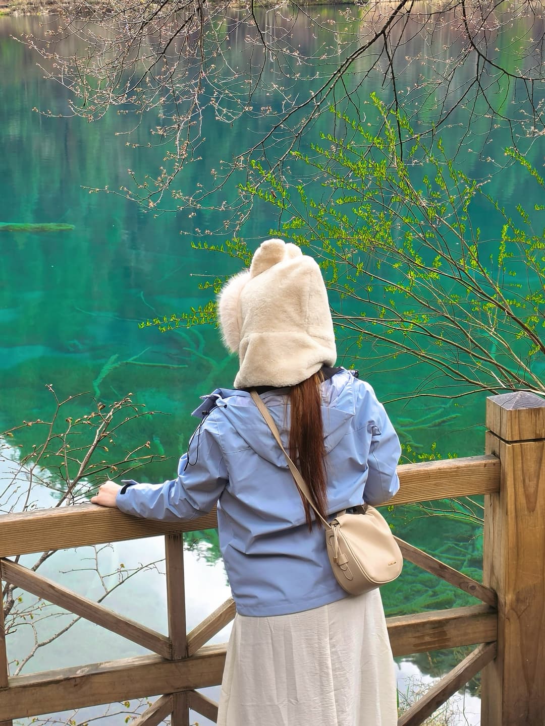 Jiuzhaigou Scenery Share 8