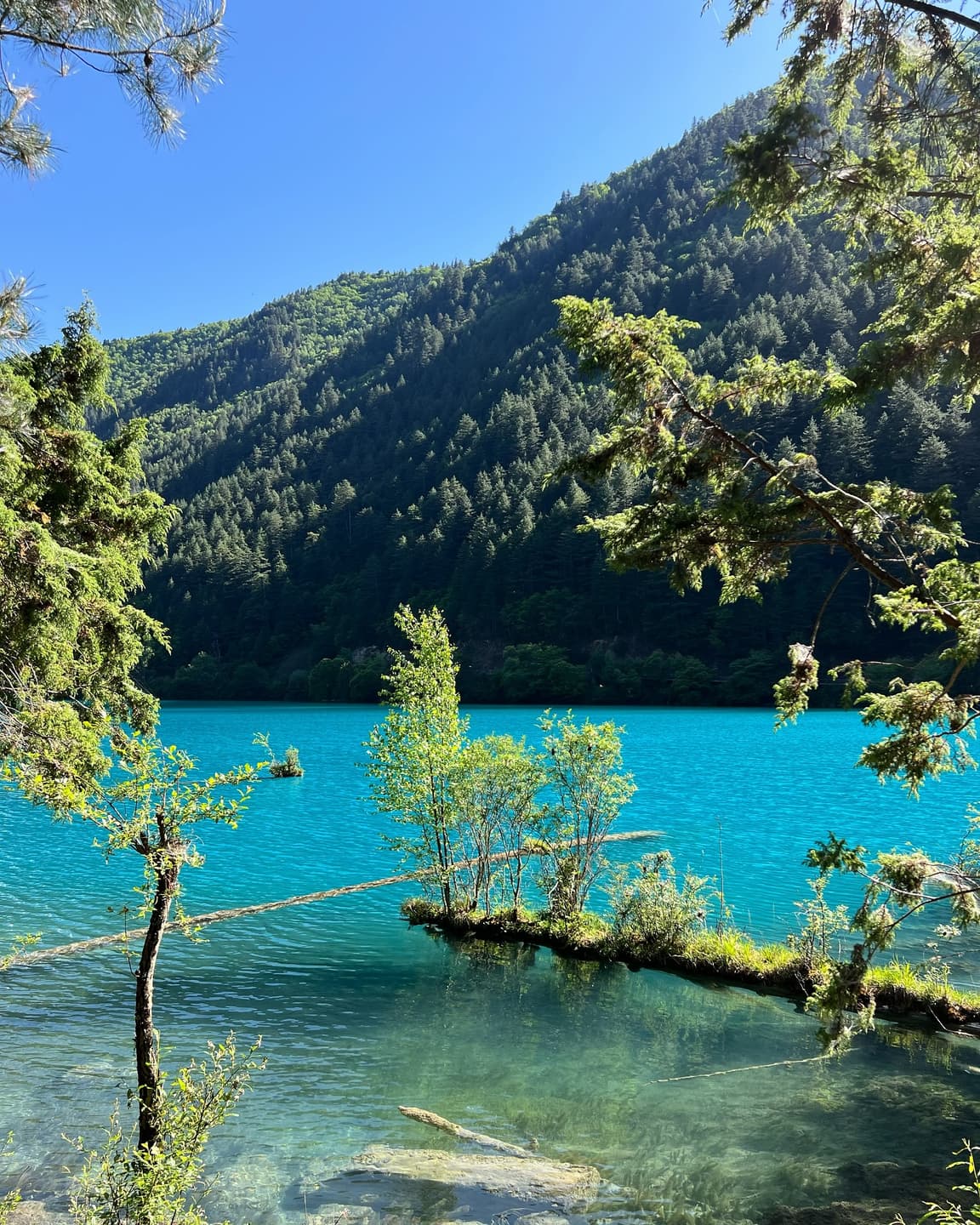 📍Jiuzhai, a paradise on Earth ☁️ 6