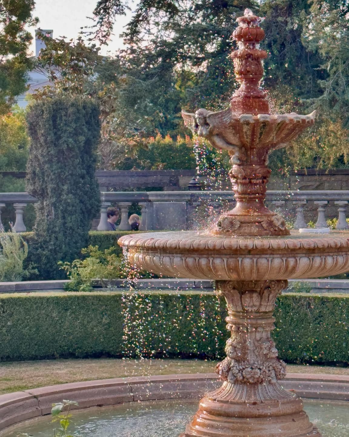 Carpe Diem 🦋⛲️🌿 7