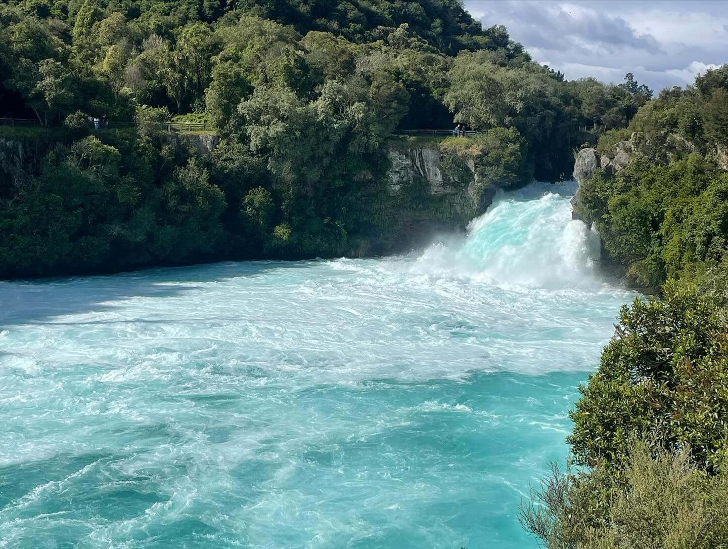 NZ 🩵 4