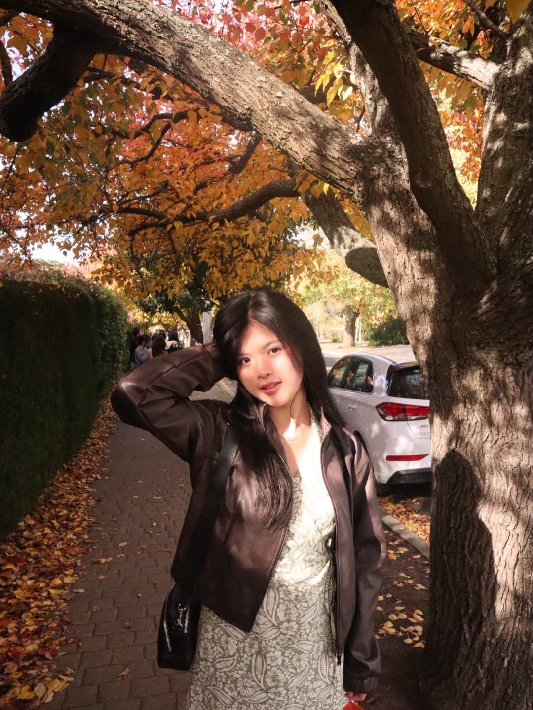 🐶🍂